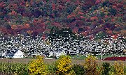 Autunno Canadese (12)
